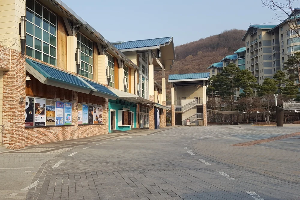 원주시청 공무원 전각 특강&수제도장 체험